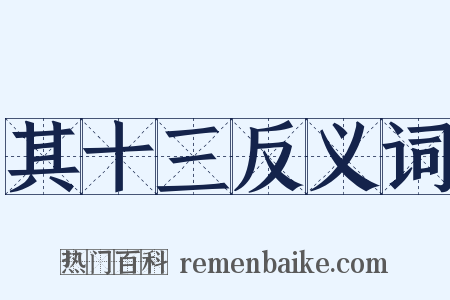 其十三反义词是什么意思的图片